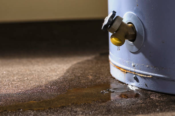 Best Flood damage cleanup  in Ephrata, PA