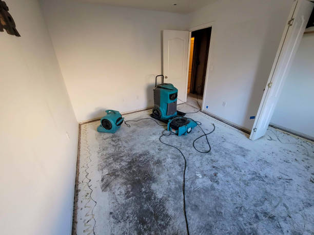 Best Water damage repair service  in Ephrata, PA