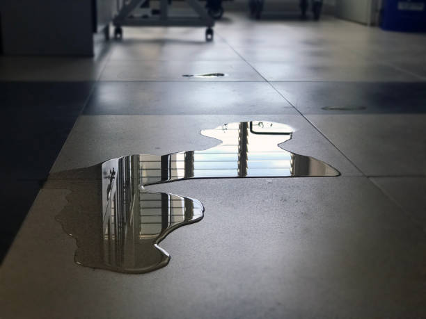 Best Carpet water damage restoration  in Ephrata, PA