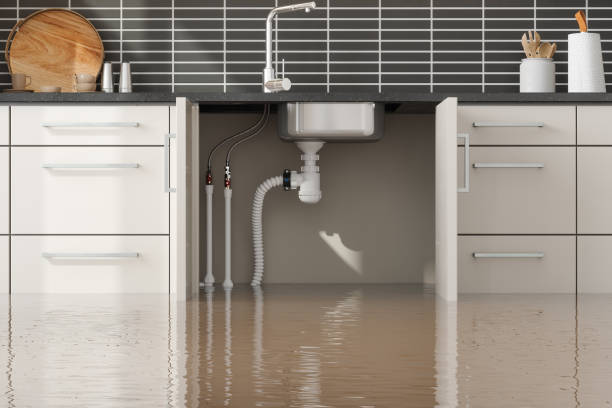 Best Basement water damage restoration  in Ephrata, PA